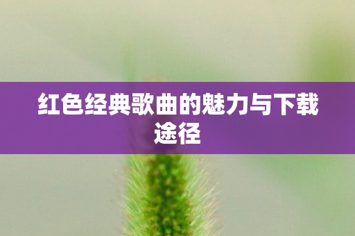 红色经典歌曲的魅力与下载途径 红色经典歌曲的魅力与下载途径