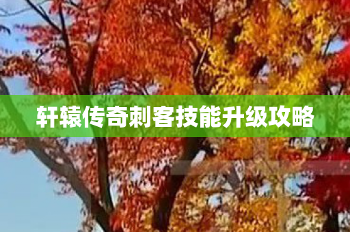 轩辕传奇刺客技能升级攻略 轩辕传奇刺客技能升级攻略