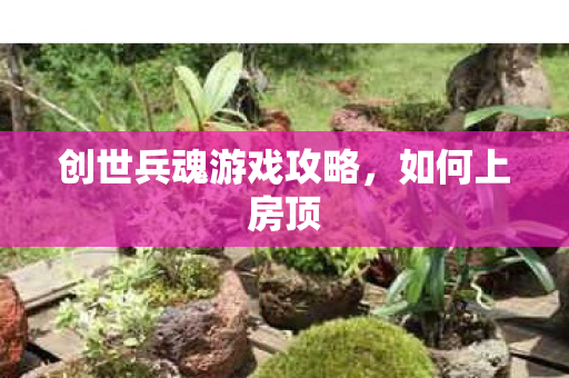 创世兵魂游戏攻略,如何上房顶 创世兵魂游戏攻略,如何上房顶