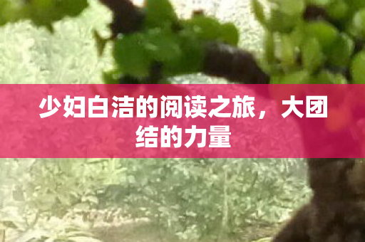 少妇白洁的阅读之旅，大团结的力量