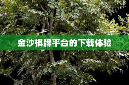金沙棋牌平台的下载体验