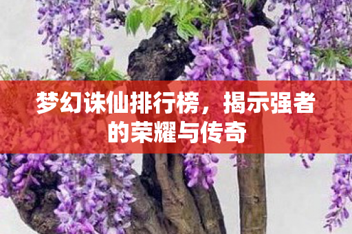 梦幻诛仙排行榜,揭示强者的荣耀与传奇 梦幻诛仙排行榜,揭示强者的荣耀与传奇