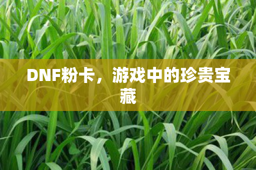 DNF粉卡，游戏中的珍贵宝藏