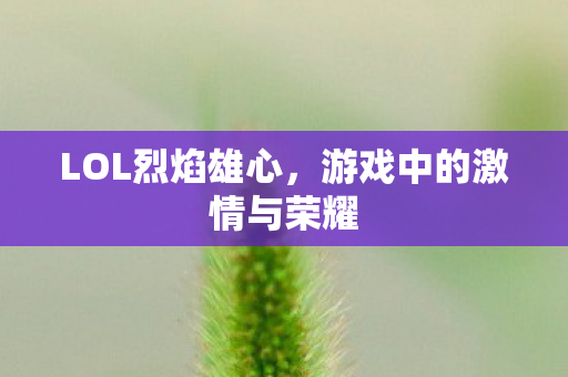 LOL烈焰雄心，游戏中的激情与荣耀