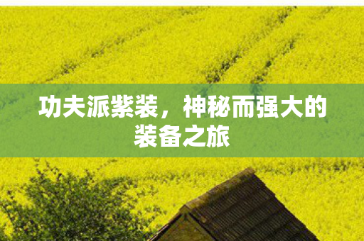 功夫派紫装，神秘而强大的装备之旅