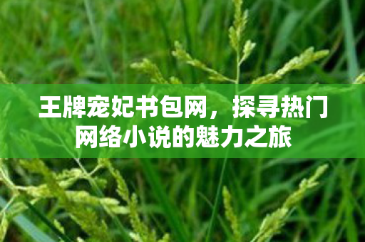 王牌宠妃书包网,探寻热门网络小说的魅力之旅 王牌宠妃书包网,探寻热门网络小说的魅力之旅