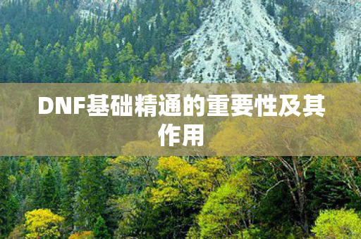 DNF基础精通的重要性及其作用 DNF基础精通的重要性及其作用