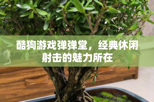 酷狗游戏弹弹堂，经典休闲射击的魅力所在