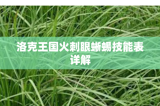 洛克王国火刺眼蜥蜴技能表详解 洛克王国火刺眼蜥蜴技能表详解