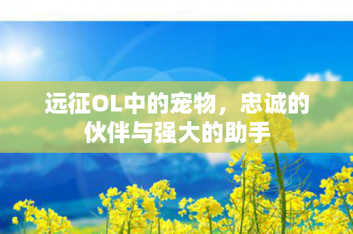 远征OL中的宠物,忠诚的伙伴与强大的助手 远征OL中的宠物,忠诚的伙伴与强大的助手