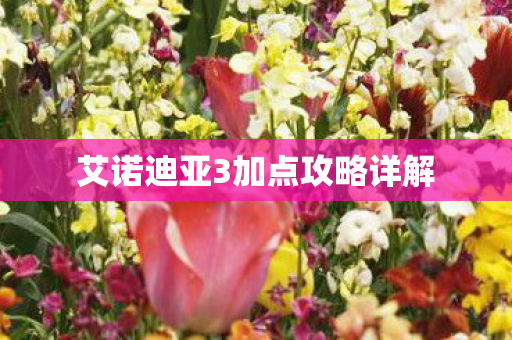 艾诺迪亚3加点攻略详解 艾诺迪亚3加点攻略详解
