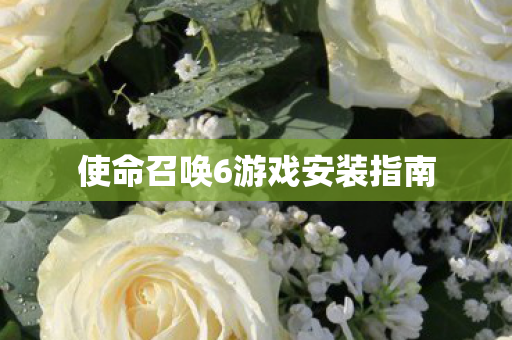使命召唤6游戏安装指南 使命召唤6游戏安装指南