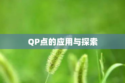 QP点的应用与探索 QP点的应用与探索