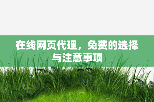 在线网页代理,免费的选择与注意事项 在线网页代理,免费的选择与注意事项