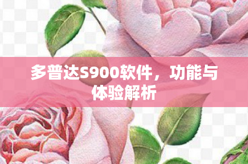 多普达S900软件,功能与体验解析 多普达S900软件,功能与体验解析