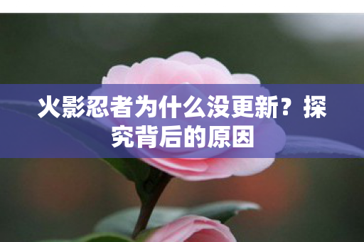 火影忍者为什么没更新?探究背后的原因 火影忍者为什么没更新?探究背后的原因
