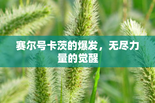 赛尔号卡茨的爆发,无尽力量的觉醒 赛尔号卡茨的爆发,无尽力量的觉醒