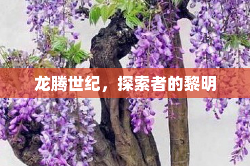龙腾世纪,探索者的黎明 龙腾世纪,探索者的黎明
