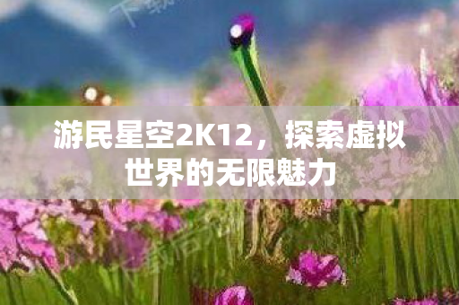 游民星空2K12,探索虚拟世界的无限魅力 游民星空2K12,探索虚拟世界的无限魅力