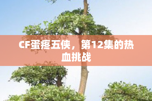 CF蛋疼五侠，第12集的热血挑战