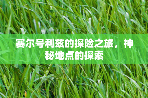 赛尔号利兹的探险之旅,神秘地点的探索 赛尔号利兹的探险之旅,神秘地点的探索