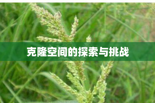 克隆空间的探索与挑战