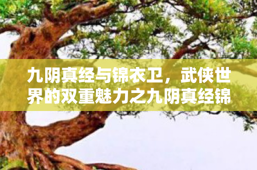 九阴真经与锦衣卫，武侠世界的双重魅力之九阴真经锦衣卫2内解析