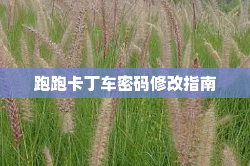 跑跑卡丁车密码修改指南 跑跑卡丁车密码修改指南