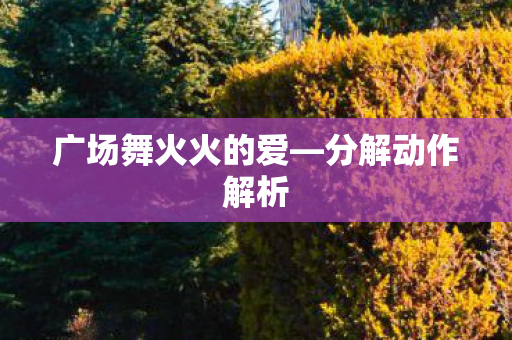 广场舞火火的爱—分解动作解析 广场舞火火的爱—分解动作解析