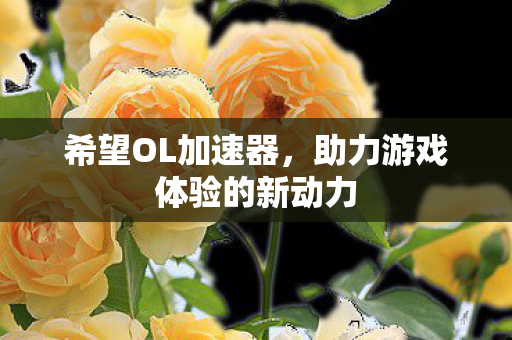 希望OL加速器，助力游戏体验的新动力