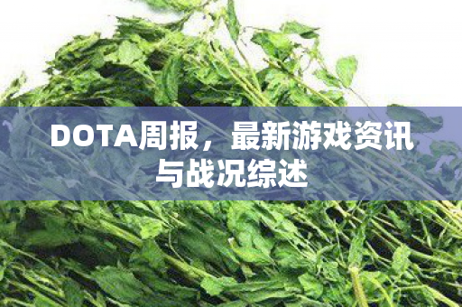 DOTA周报,最新游戏资讯与战况综述 DOTA周报,最新游戏资讯与战况综述