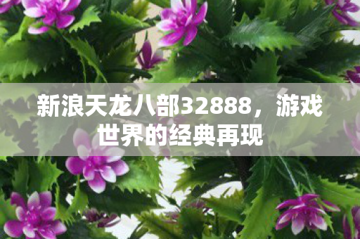 新浪天龙八部32888,游戏世界的经典再现 新浪天龙八部32888,游戏世界的经典再现