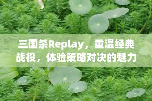 三国杀Replay，重温经典战役，体验策略对决的魅力