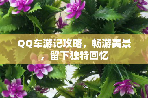 QQ车游记攻略,畅游美景,留下独特回忆 QQ车游记攻略,畅游美景,留下独特回忆