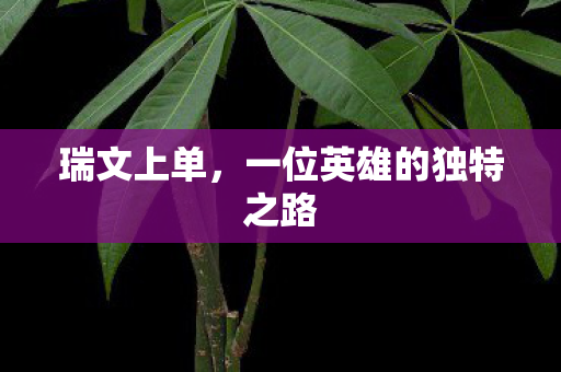 瑞文上单,一位英雄的独特之路 瑞文上单,一位英雄的独特之路