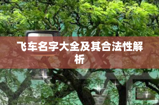 飞车名字大全及其合法性解析 飞车名字大全及其合法性解析