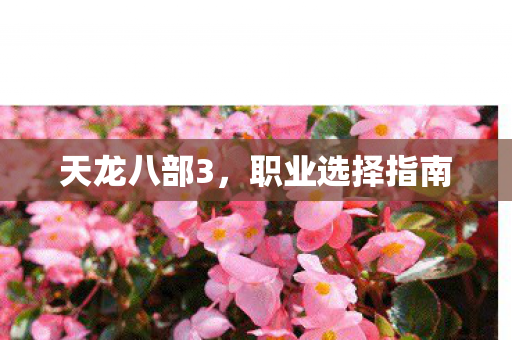 天龙八部3,职业选择指南 天龙八部3,职业选择指南