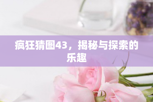 疯狂猜图43，揭秘与探索的乐趣
