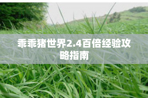 乖乖猪世界2.4百倍经验攻略指南 乖乖猪世界2.4百倍经验攻略指南