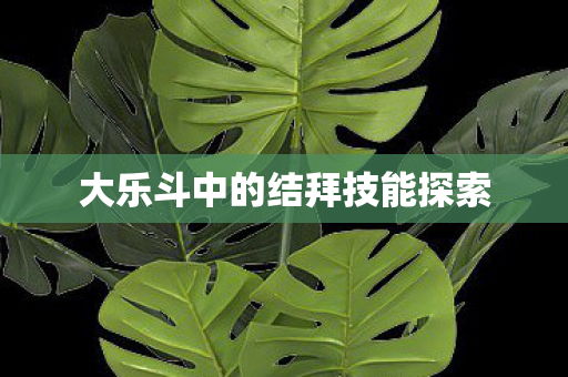 大乐斗中的结拜技能探索 大乐斗中的结拜技能探索