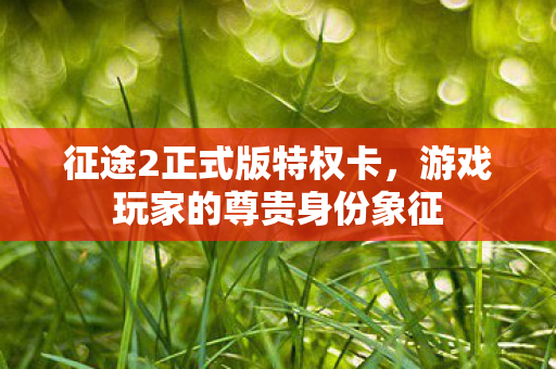 征途2正式版特权卡,游戏玩家的尊贵身份象征 征途2正式版特权卡,游戏玩家的尊贵身份象征