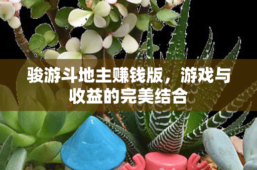 骏游斗地主赚钱版,游戏与收益的完美结合 骏游斗地主赚钱版,游戏与收益的完美结合