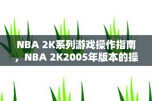 NBA 2K系列游戏操作指南,NBA 2K2005年版本的操作技巧解析 NBA 2K系列游戏操作指南,NBA 2K2005年版本的操作技巧解析