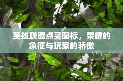 英雄联盟点亮图标,荣耀的象征与玩家的骄傲 英雄联盟点亮图标,荣耀的象征与玩家的骄傲