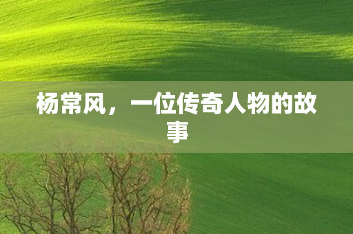 杨常风,一位传奇人物的故事 杨常风,一位传奇人物的故事