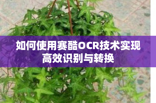 如何使用赛酷OCR技术实现高效识别与转换 如何使用赛酷OCR技术实现高效识别与转换
