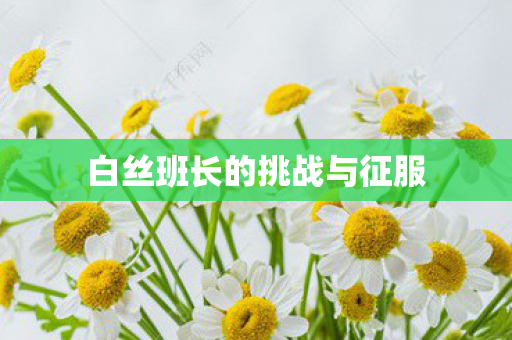 白丝班长的挑战与征服 白丝班长的挑战与征服