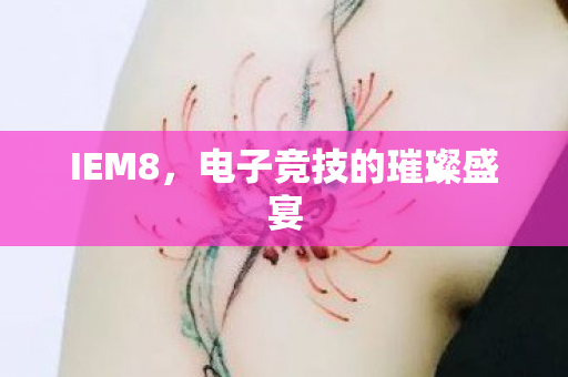 IEM8,电子竞技的璀璨盛宴 IEM8,电子竞技的璀璨盛宴
