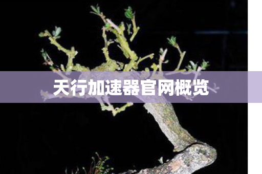 天行加速器官网概览