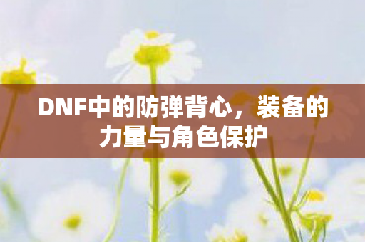 DNF中的防弹背心,装备的力量与角色保护 DNF中的防弹背心,装备的力量与角色保护